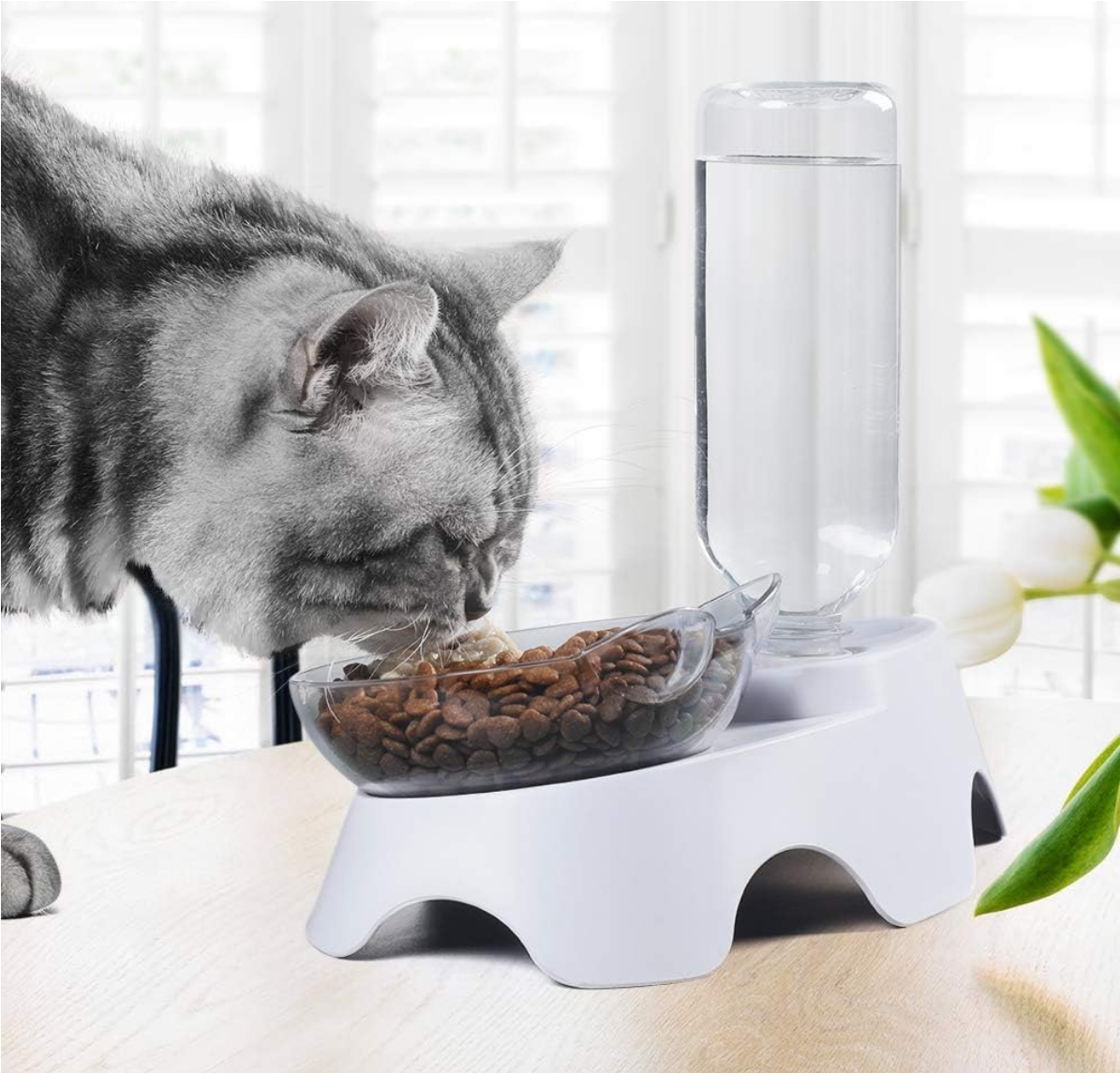 MILIFUN Double Dog Cat Bowls - Pets Water and Food Bowl Set