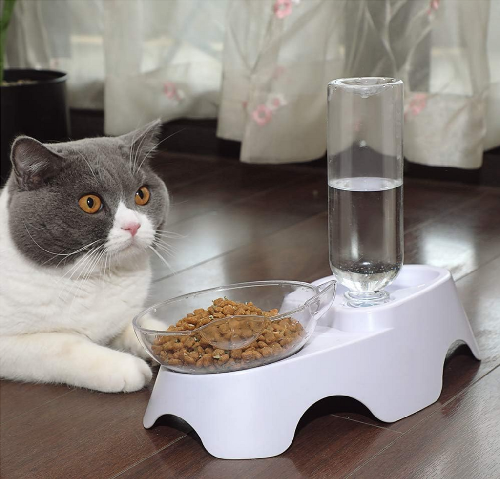 MILIFUN Double Dog Cat Bowls - Pets Water and Food Bowl Set