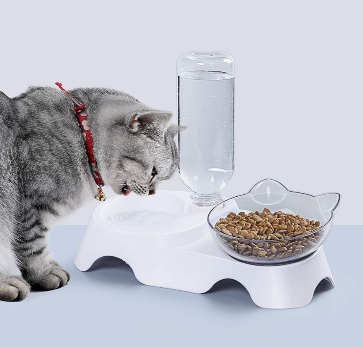 MILIFUN Double Dog Cat Bowls - Pets Water and Food Bowl Set